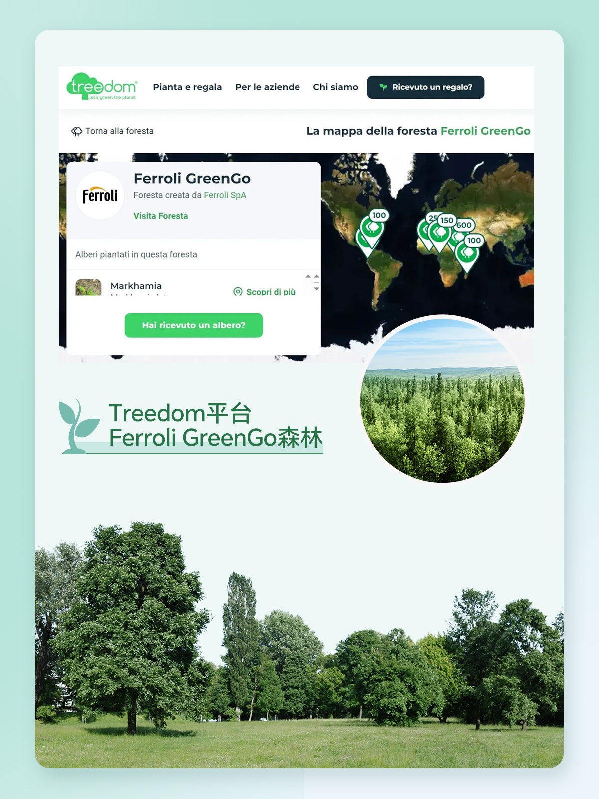 BG大游·(集团)视讯官方网站